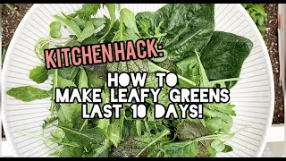 Store leafy greens to last 7-10 Days. No more moldy greens in the back of the fridge.