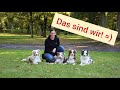 Das sind wir! Australian Shepherds Amy, Joy und Liv (und Happy) stellen sich vor