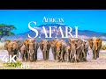 African Safari 4K • Wildlife Relaxation Film | Nature 4K Ultra HD