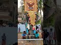 ചിറക്കൽ പരമേശ്വരൻ കല്ലഴി പൂരം 2025 elephant pooram kerala shorts trending viral 2025