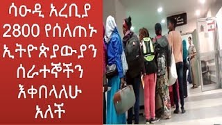 ሳዑዲ አረቢያ 2800 የሰለጠኑ ኢትዮጵያውያን ሰራተኞችን እቀበላለሁ አለች