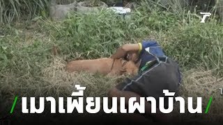 เมาเพี้ยนจุดไฟเผาบ้านตัวเองวอดทั้งหลัง | 10-07-62 | ข่าวเช้าไทยรัฐ