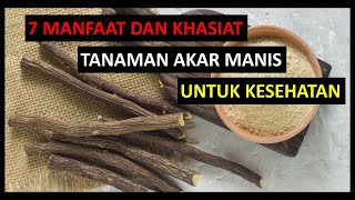 LUAR BIASA !! INILAH MANFAAT AKAR MANIS BAGI KESEHATAN YANG PERLU ANDA KETAHUI (Glycyrrhiza glabra)