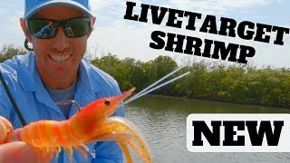 How To Fish The NEW LIVE TARGET FLEEING SHRIMP