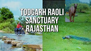 TODGARH RAOLI SANCTUARY RAJASTHAN || DUDHALESHWAR MAHADEV TEMPLE #ytcreators