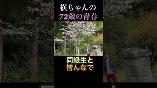 還暦祝いの記念樹、母校跡でさくら満開 (日置市吹上町永吉坊野)