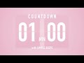 1 Minute Countdown Timer 🌸 Flip Clock with Simple Beeps 🔔