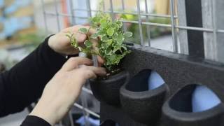 How to plant up a Mobilane plantcassette?