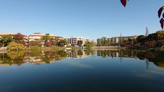 万代池公園の日曜日朝の風景