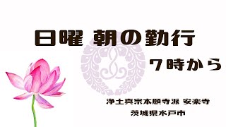 朝の日曜礼拝 令和5年8月6日「正信偈」「浄土三部経 現代語訳 観無量寿経 正宗分 定善 186頁」