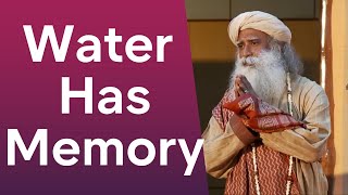 Water Has Memory  |  Sadhguru