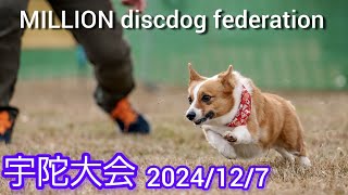 MILLION discdog federation 宇陀大会 1日目