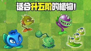 Plants vs. Zombies: Check out the plants that are suitable for the fifth rank! Midi is also suitable