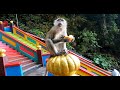 Batu Caves, Malaysia