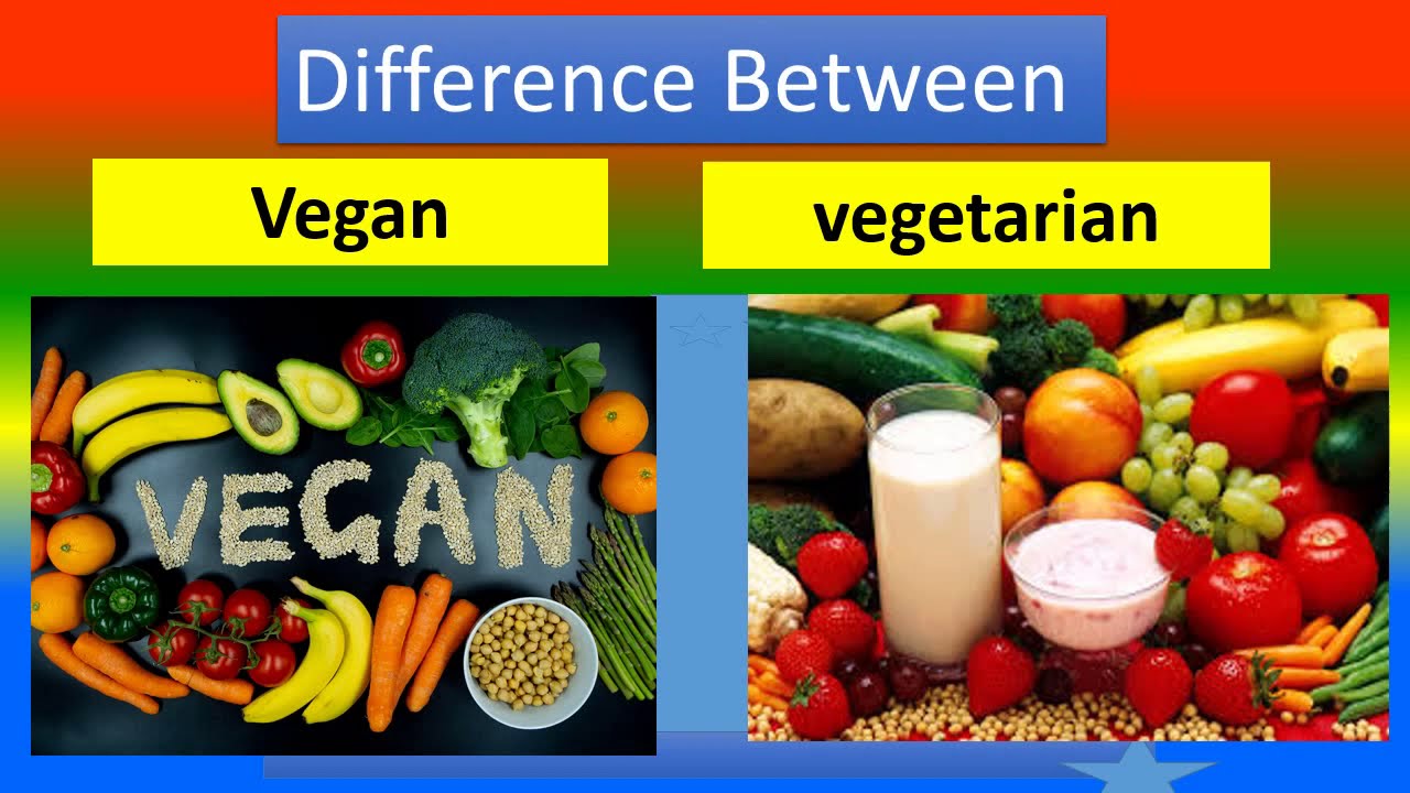 Difference Between Vegan And Vegetarian - YouTube