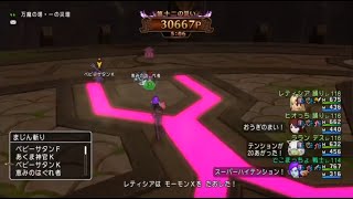 ドラゴンクエストX　戦士での万魔サポを試す！