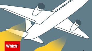 How to fight climate change by flying budget - Which?