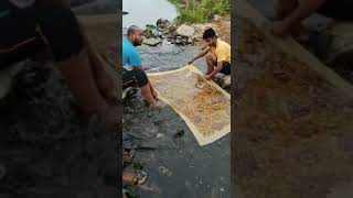 Artist rinsing a traditional Kalamkari painting