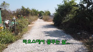 ep 35 리얼 라오스 생존기(라오스에서 꿈꾸는 삶..)