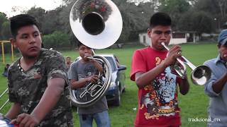 La Banda Santa Rosa de Lima toca "Tristes Recuerdos" desde Ixcatepec, Ver.
