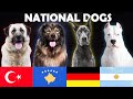 The 20 National Dog Breeds