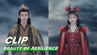 The War Has Begun | Beauty of Resilience EP36 | 花戎 | iQIYI