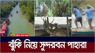 নেই আধুনিক অস্ত্র, নৌযান ও সরঞ্জাম, ঝুঁকি নিয়ে সুন্দরবন পাহারা দিচ্ছেন বনরক্ষীরা। Sundarban