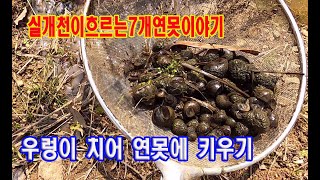 자연생태연못으로 변해가는 실개천이흐르는7개연못이야기