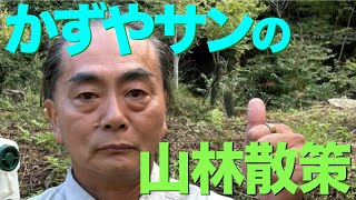 おはようございます！ 山林より！ 朝ボヤ! 20241005 kazuya_sun 山林で一夜過ごして散策 清々しい朝を迎えたよ 明け方ちょい肌寒かったかも？ うちの山はこんな感じ 開拓するよん