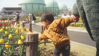 息子と春の芦花公園にお花見行ってきた。蘆花恒春園「花の丘」