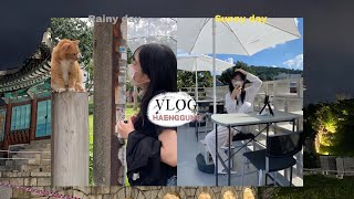 •VLOG• | 행궁동 브이로그🍷 | 방화수류정 | 행궁동 카페🧃 | 행궁동 투어