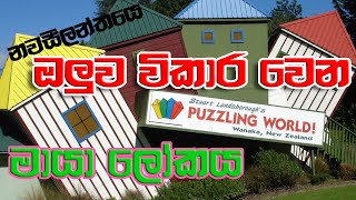 මායා ලෝකය - Puzzling World - Wanaka, New Zealand