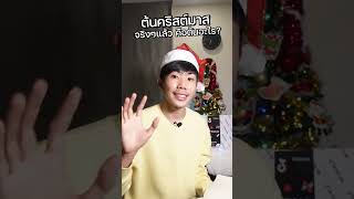 ต้นคริสต์มาส คือต้นอะไร? #shorts #สาระ #ความรู้ #เรื่องเล่า