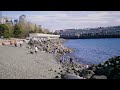 Botany with Bobby: Wildlife at the Olympic Sculpture Park's Pocket Beach