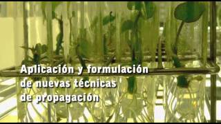 Introductorio Propagación de Plantas