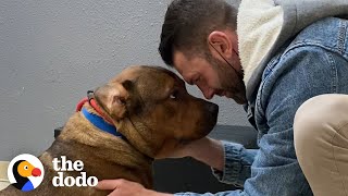 Guy Promises He's Not Going To Keep His Foster Dog... | The Dodo Foster Diaries