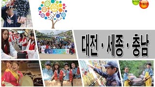 2017 한국청소년대전세종충남연맹(단원)