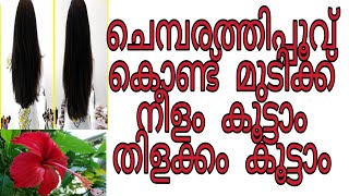 ചെമ്പരത്തിപ്പൂവ് ഉണ്ടോ എങ്കിൽ മുടി മുടിയുടെ നീളം കൂട്ടാം തിളക്കവും കൂട്ടാം