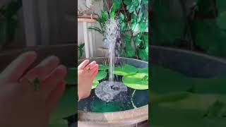 Automatic fountain | Floating solar fountain | Viral video 2021