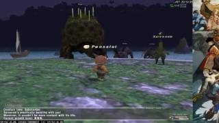 Pwnsalot How To Play FFXI Mog Garden Edition