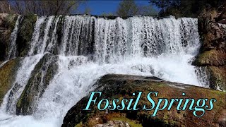 Fossil Springs - Best Water Hike In Arizona