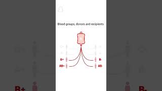 #blood group,donor and recipient 🩸 learn more things about science with me