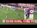 대전시티즌 아드리아노 fc서울로 이적