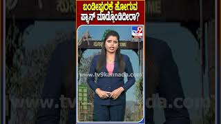 ಬಂಡೀಪುರದಲ್ಲಿ ಹೊಸ ವರ್ಷಕ್ಕೆ ನ್ಯೂ ರೂಲ್ಸ್ #Bandipur #Bandipur |#TV9D