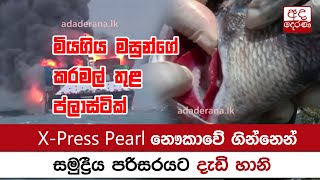 එක්ස්ප්‍රස් පර්ල් නෞකාවේ ගින්නෙන් සමුද්‍රීය පරිසරයට දැඩි හානි