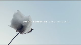 Candiani Denim cotton evolution