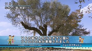 Ｖ６の皆さんからなぎさ公園にブイロクの木が寄贈されました