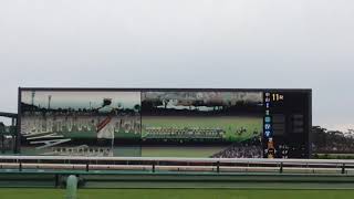 中山競馬場で見た皐月賞オープニング映像