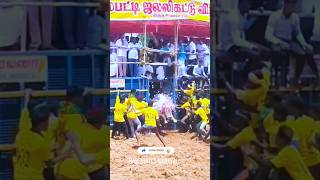 #வெள்ளை காளை🔥என்ன ஒரு அழகுடா💥 #jallikattu#trending #viral #shortsvideo #instagram #haristatusmanavai