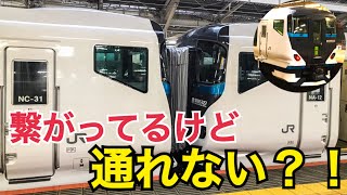 踊り子14両運転開始！貫通路は繋がってるのに通り抜けはできない！？なぜ貫通路が繋がってるの？E257系2500番台乗車記